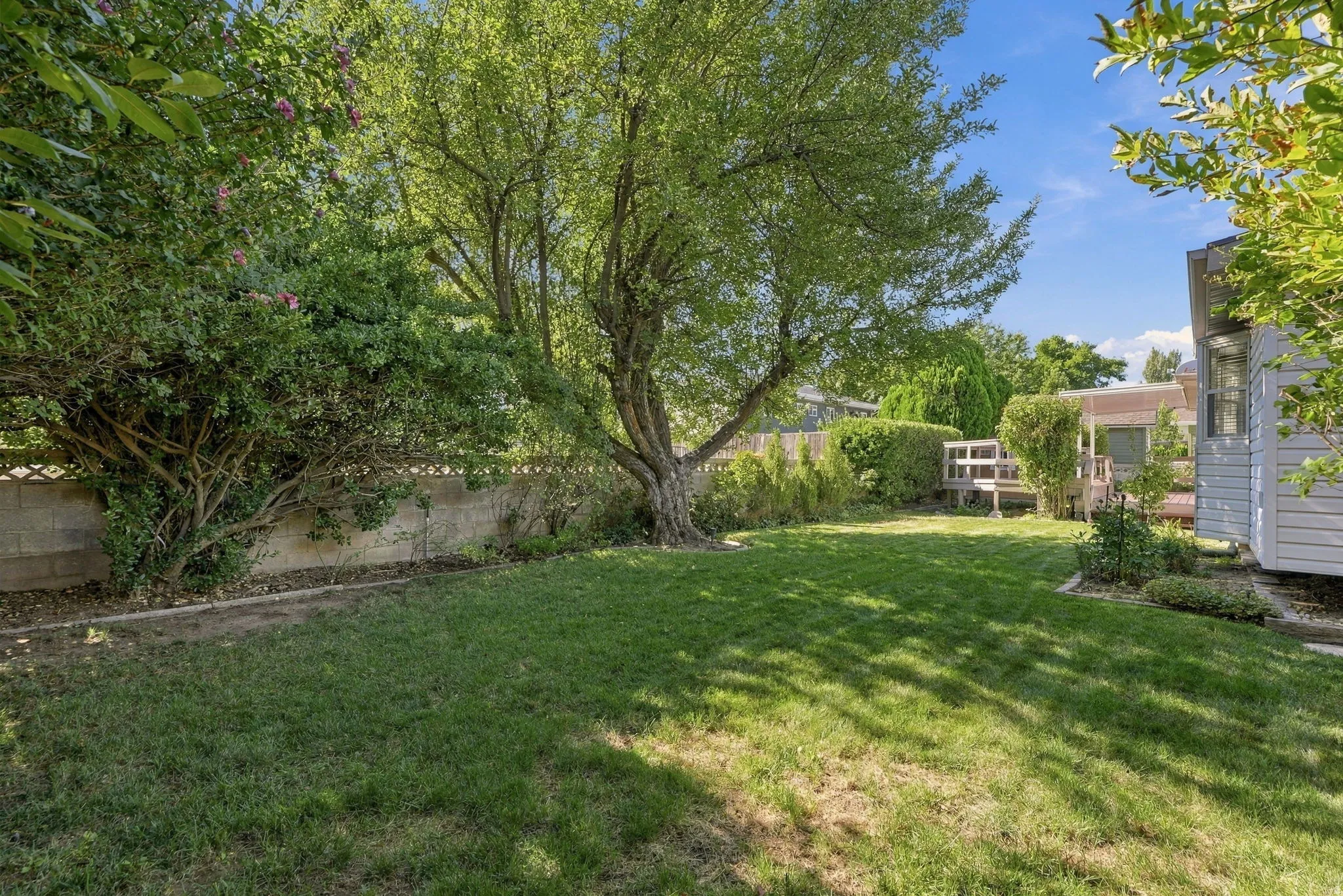 Expansive lawn with mature trees and established perimeter landscaping