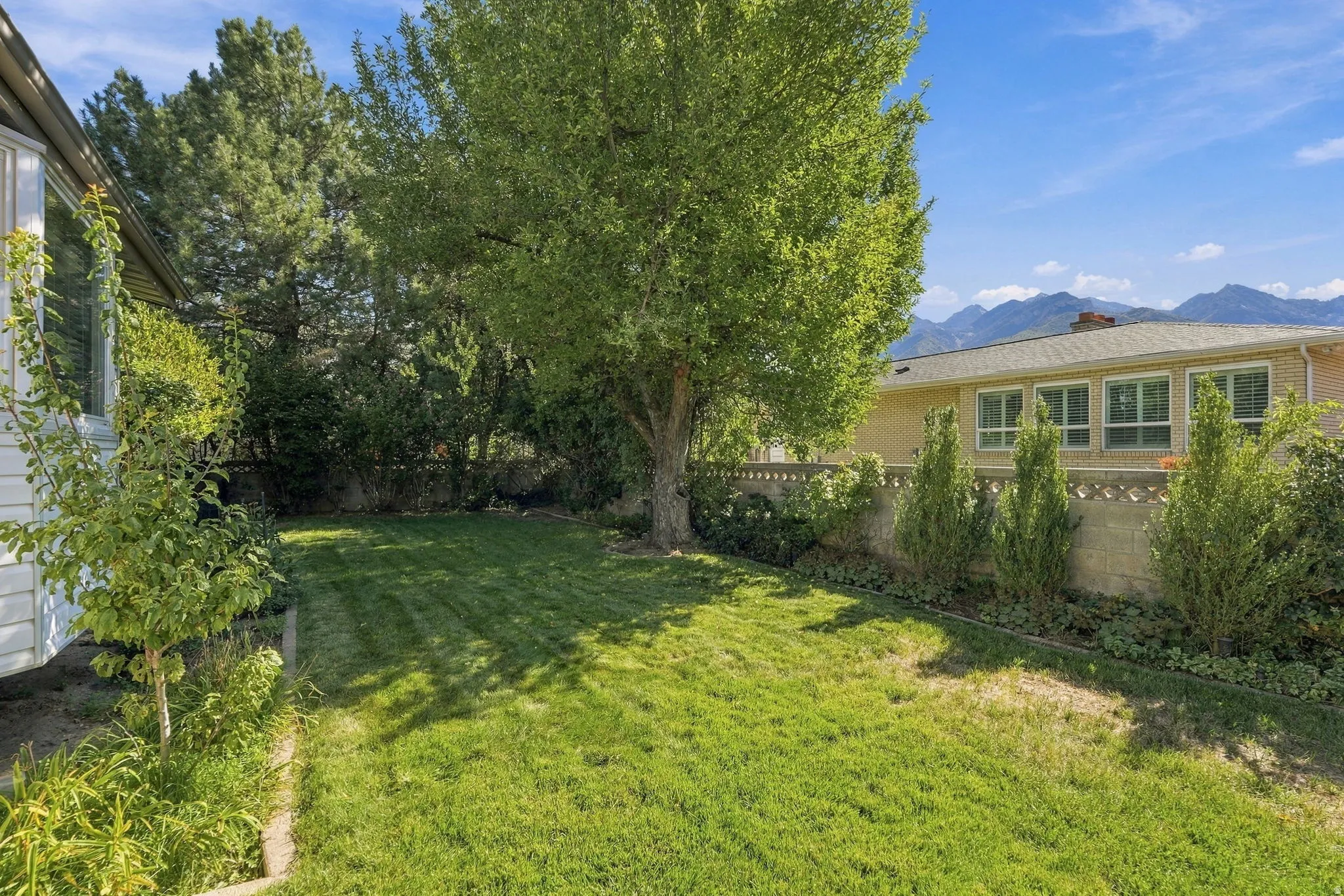 Expansive backyard featuring a manicured lawn, mature trees, and landscaping