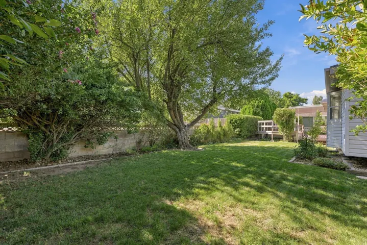 Expansive lawn with mature trees and established perimeter landscaping
