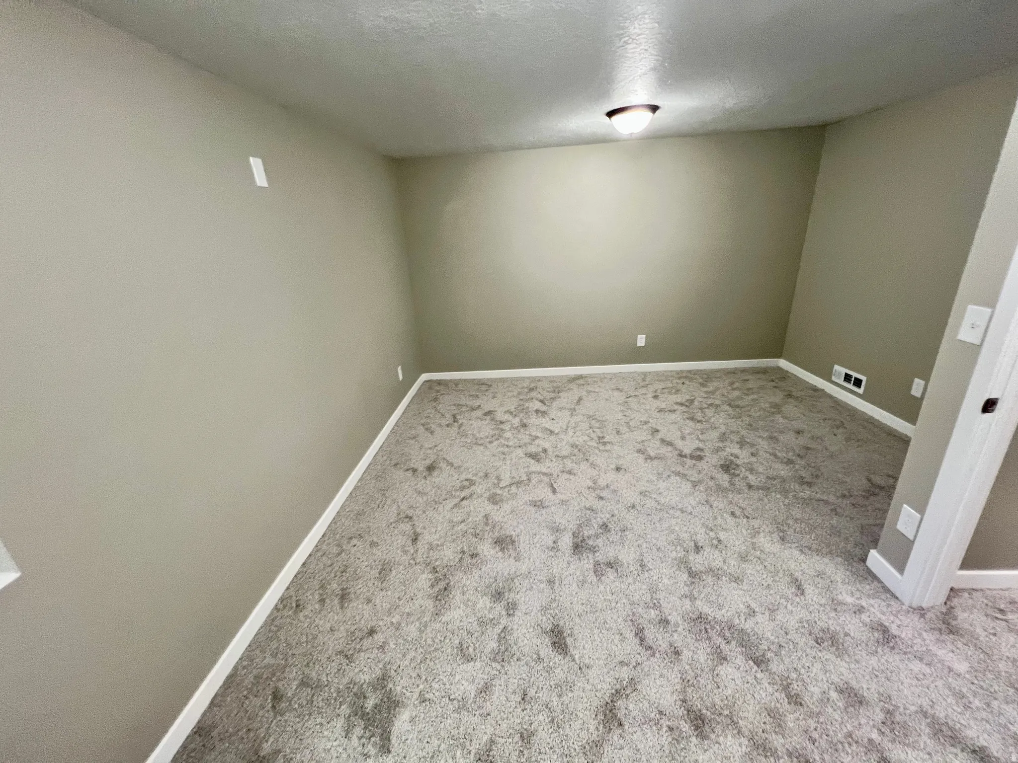 Neutral wall paint with textured carpeting and a flush-mount ceiling light