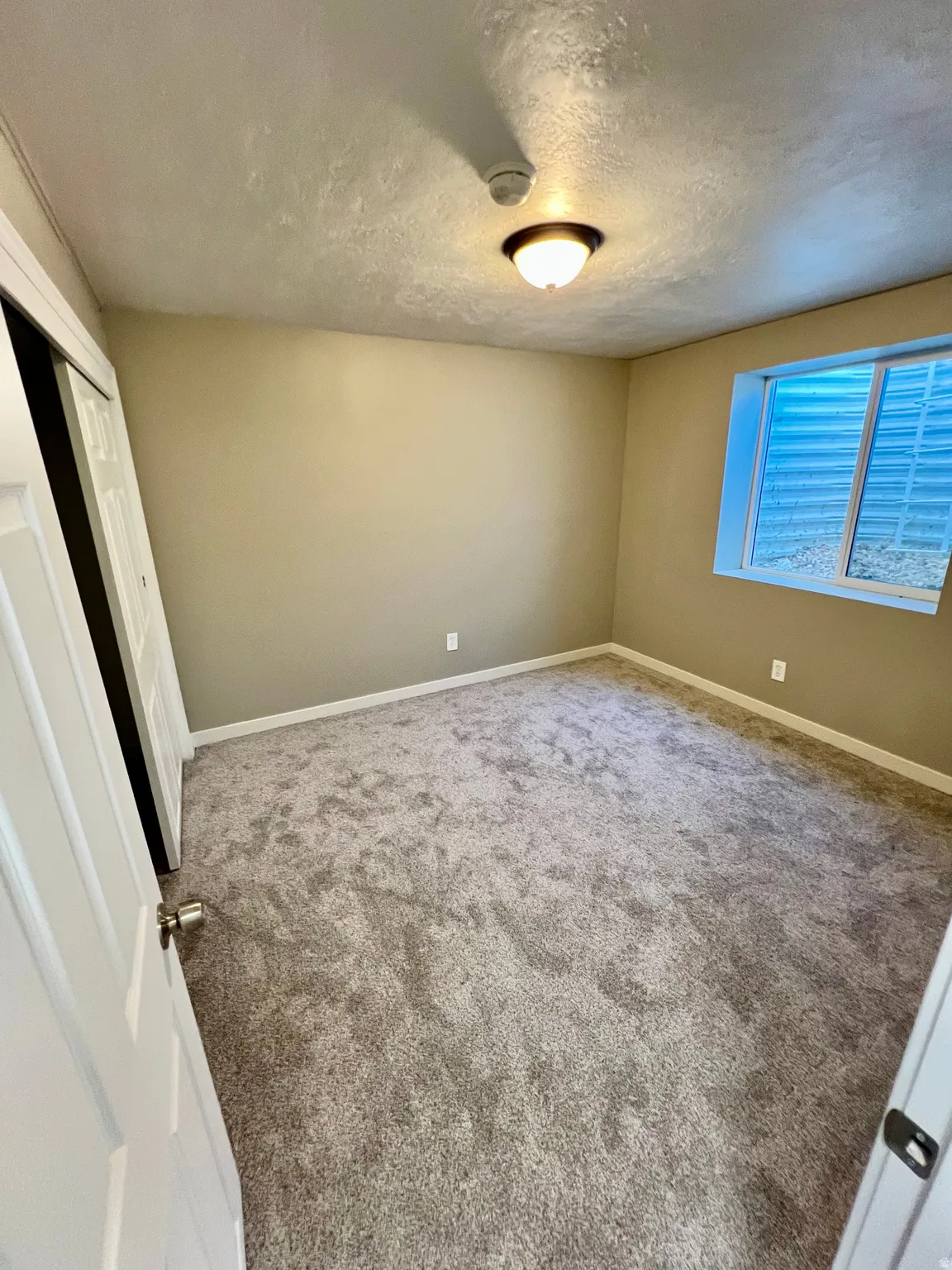 Neutral-toned carpeting with light beige walls and a single window