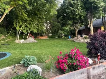 Expansive backyard featuring a manicured lawn, mature trees, a wood-finish raised garden bed, and vibrant flowering shrubs