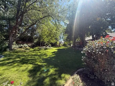 Expansive lawn with mature trees and established perimeter plantings