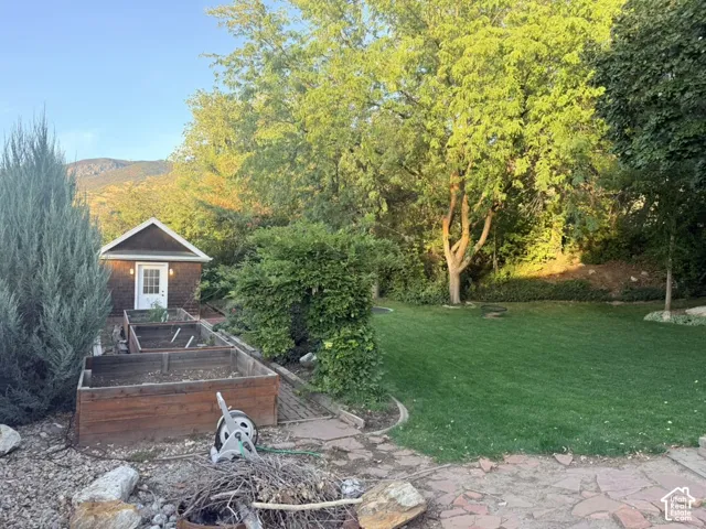Expansive backyard featuring a manicured lawn, established trees, and a storage shed with a white door