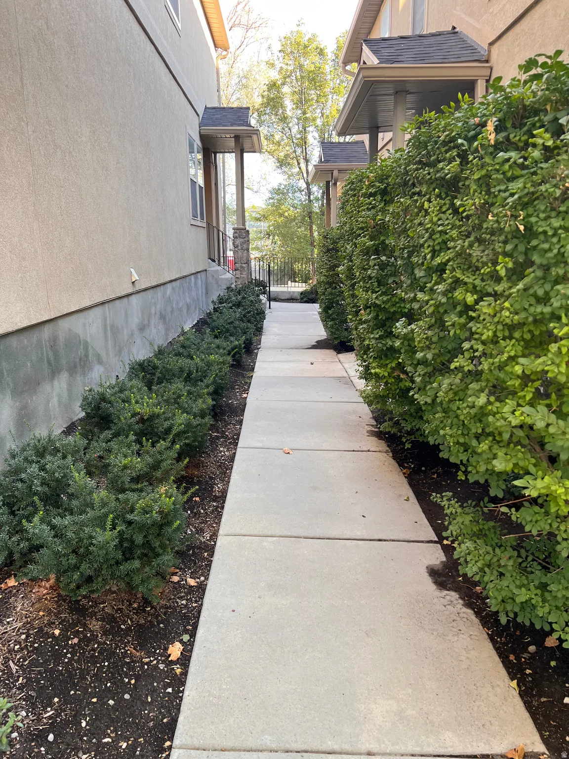 Pathway to front door, with mature shrubbery and a stucco exterior