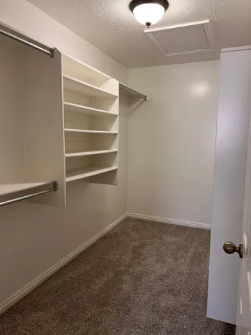 Primary bedroom closet, new carpet, new paint