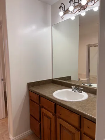 Primary bathroom vanity