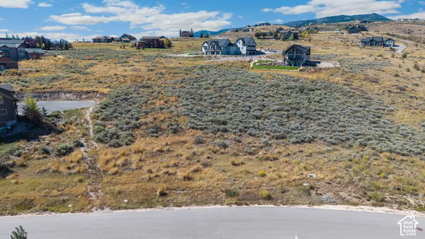 Expansive land parcel featuring natural shrubbery and a paved road frontage