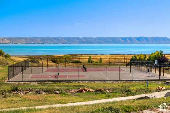 Fenced multi-sport court featuring dedicated pickleball and basketball areas