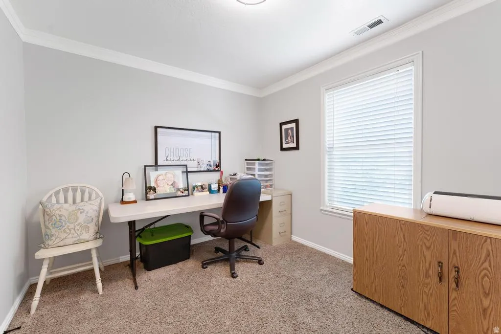 Crown molding, light gray wall paint, single window with blinds, wood-finish cabinetry, and carpeted flooring
