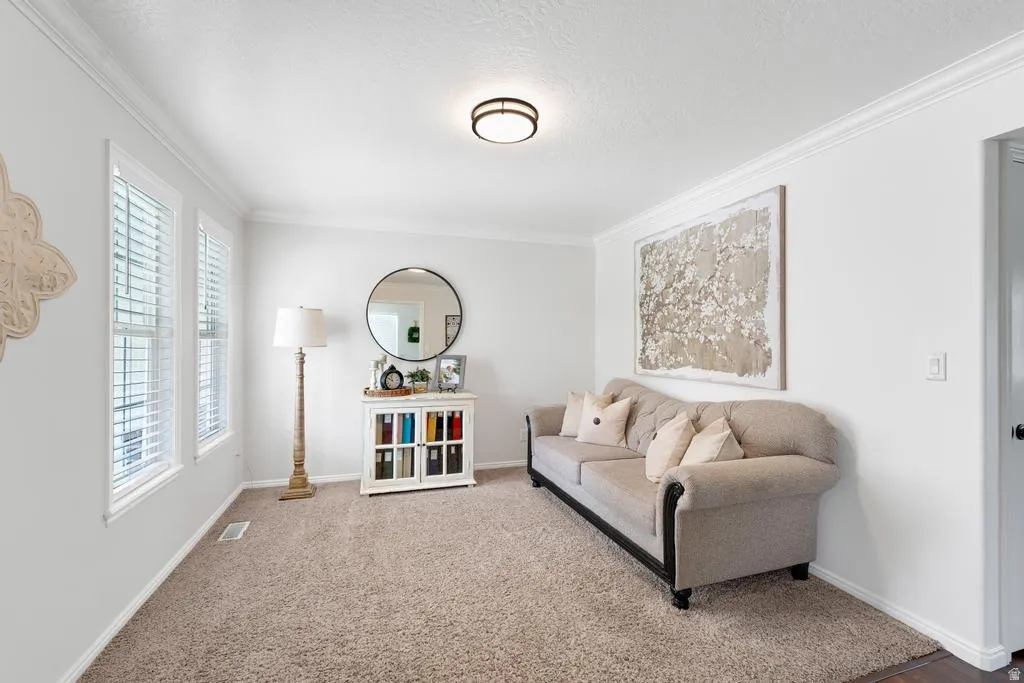 Plush carpet flooring, multiple windows with blinds, crown molding, and a flush mount ceiling light