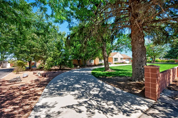 Concrete driveway with mature trees, established lawn, and a brick-finish wall