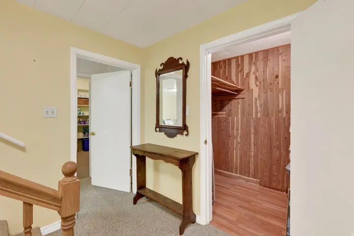 Wood-paneled closet with built-in shelving and wood-finish flooring