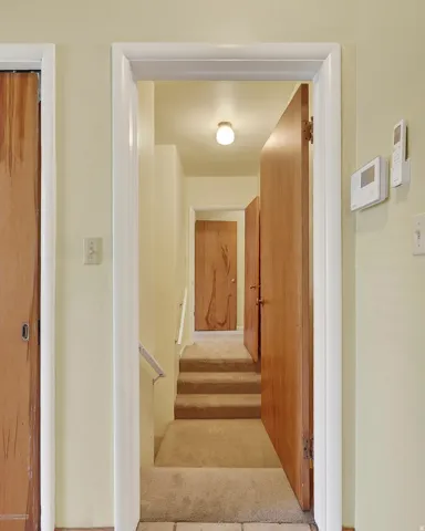 Carpeted stairs leading to an upper level, featuring a light fixture and a handrail