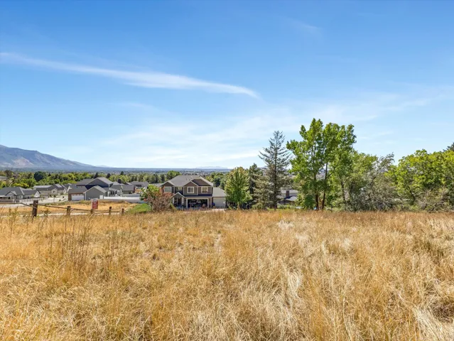 Expansive open land with a partial wooden fence and mature trees