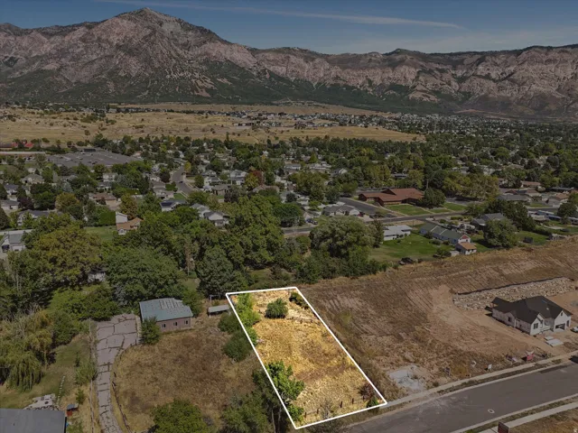 Expansive undeveloped lot with partial tree coverage