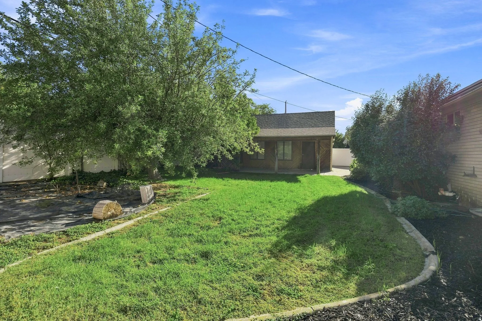 Grassed lawn area bordered by a concrete edge, mature fruit trees, with a covered patio.