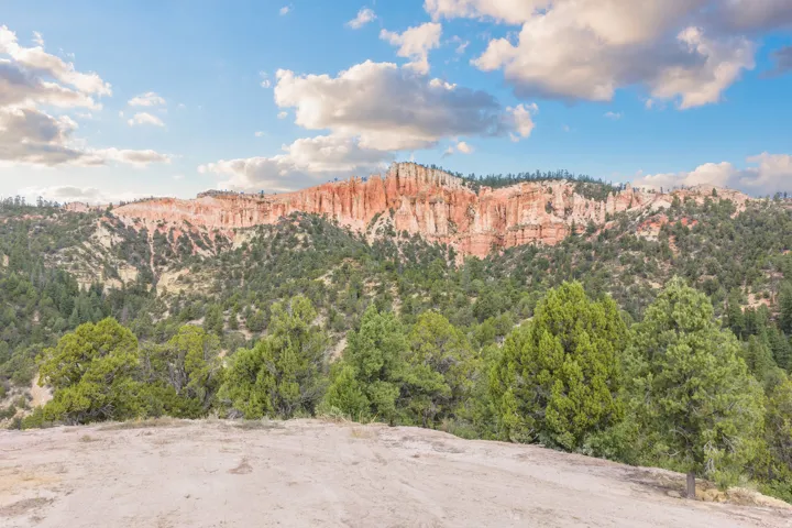 Expansive natural landscape featuring dramatic red rock formations and dense coniferous forest backdrop