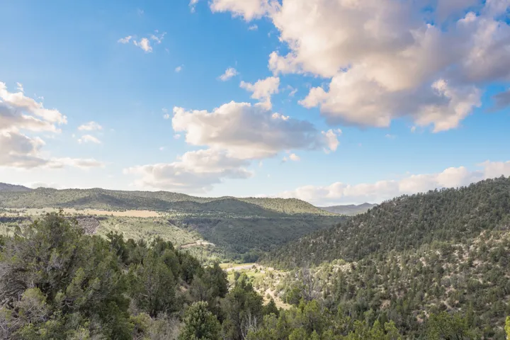 Expansive natural landscape with rolling hills, abundant mature trees, and a distant valley