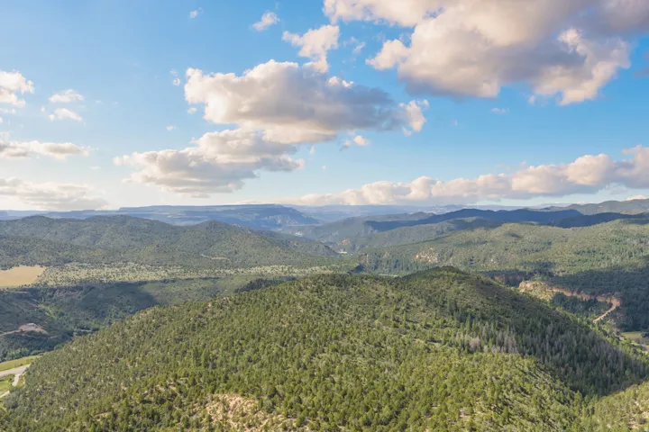Expansive landscape featuring rolling hills, mature trees, and distant natural formations