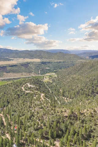 Expansive wooded terrain with varied topography and distant mountainous landscape