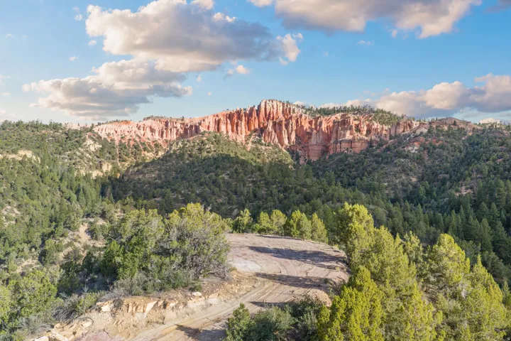 Expansive terrain featuring natural rock formations and a verdant tree canopy