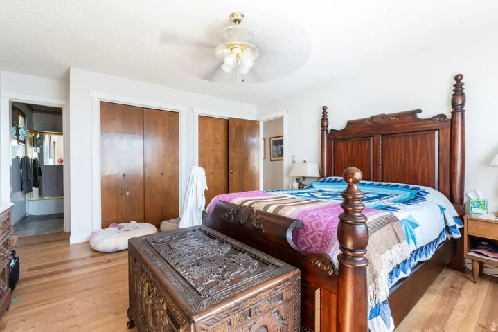 Hardwood flooring, painted walls, ceiling fan, and solid wood bi-fold closet doors