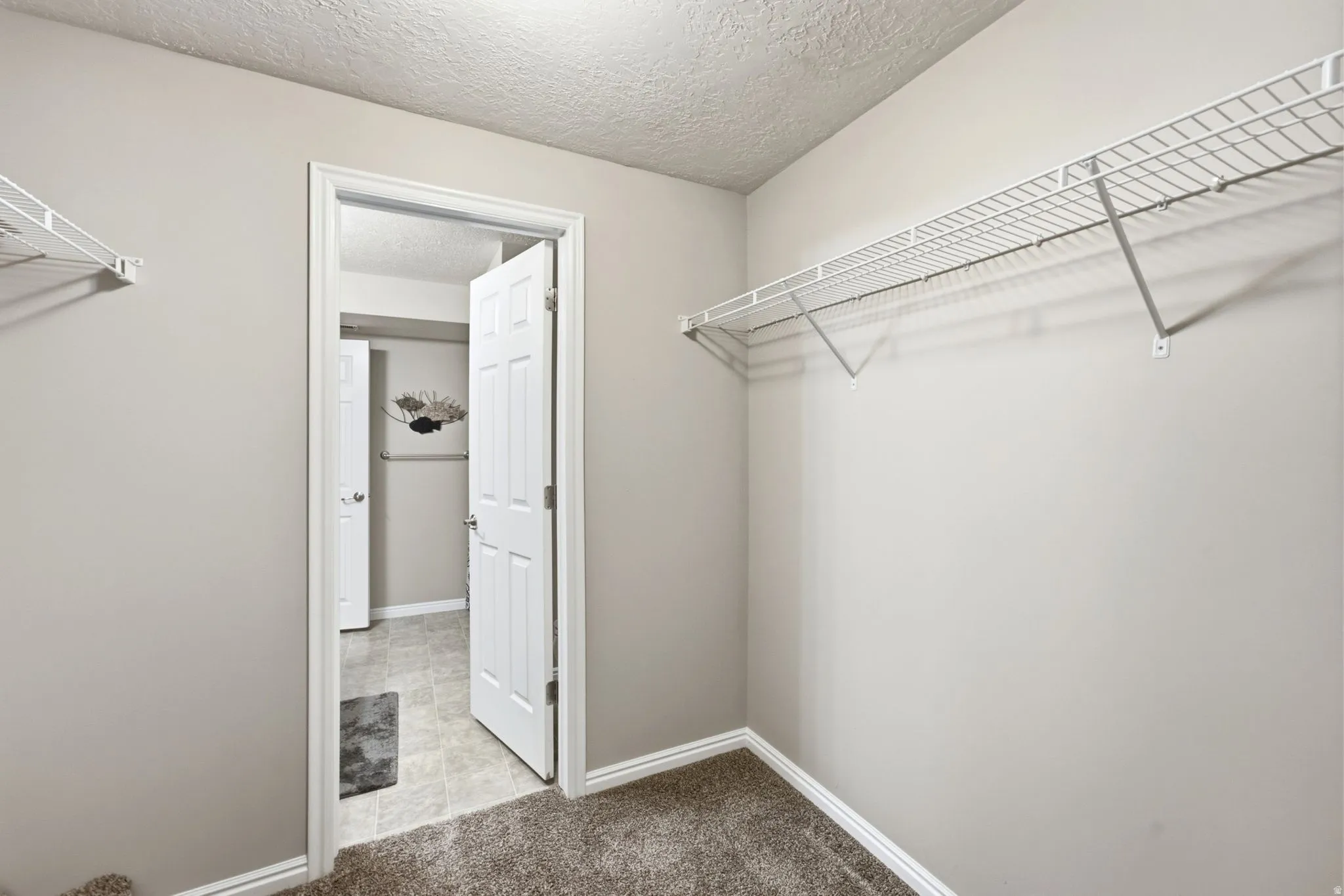 Carpeted flooring, neutral wall tones, white wire shelving, white trim, and a white door frame
