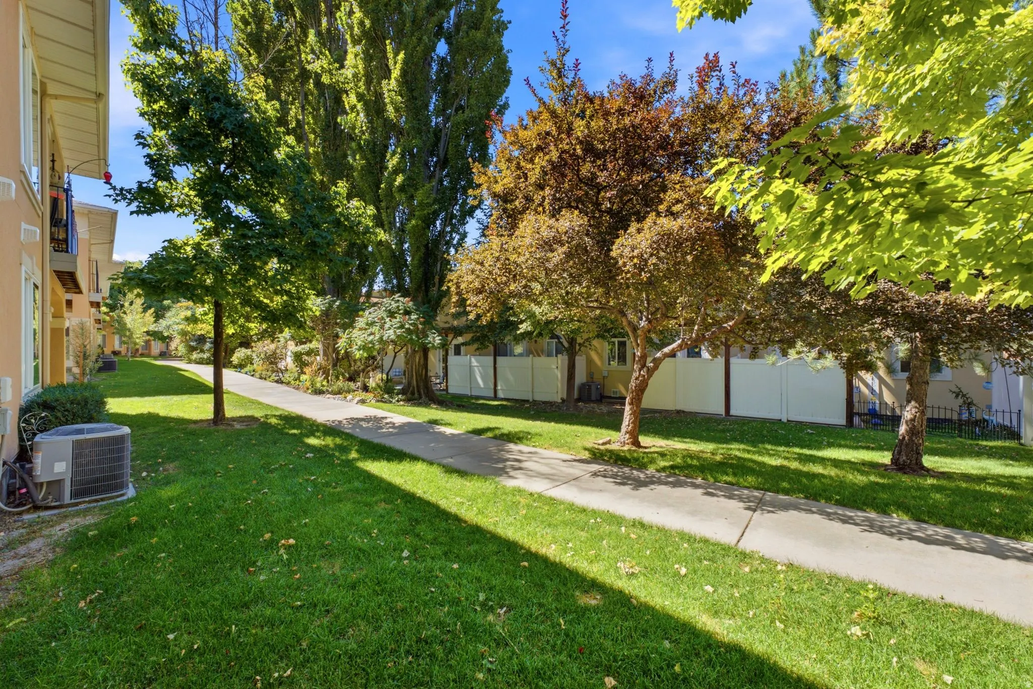 Expansive green space featuring a manicured lawn, established trees, and a concrete pathway