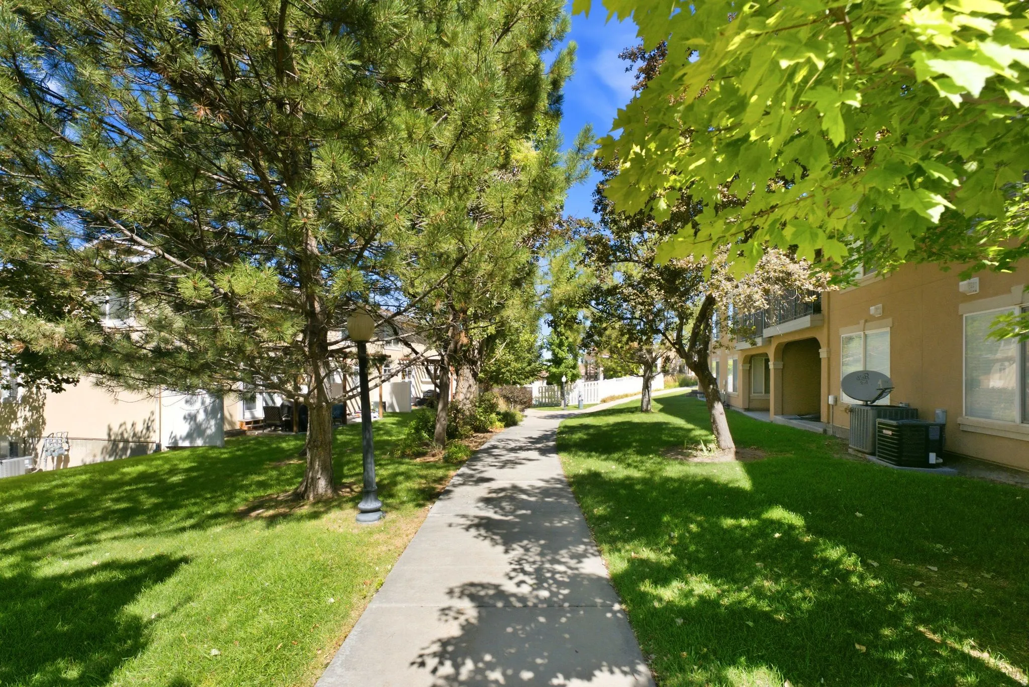 Manicured lawn with mature trees and a paved walkway