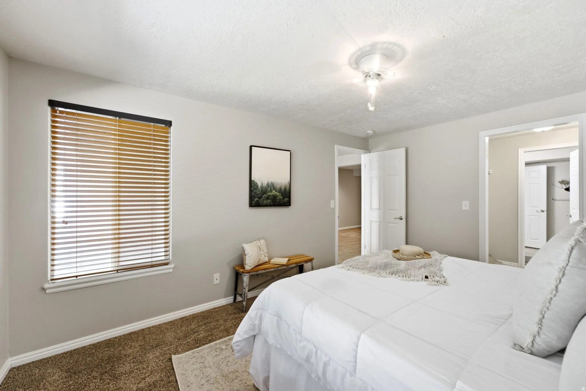Carpeted room with a single window, white walls, and a ceiling-mounted light fixture