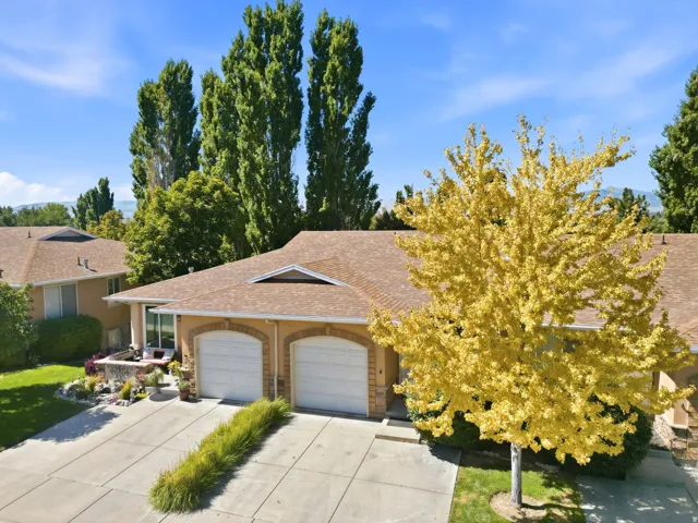 Stucco exterior with arched garage doors, concrete driveway, and mature landscaping