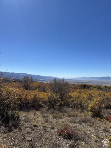 Expansive terrain featuring varied natural foliage and distant mountain ranges