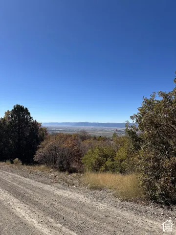 Expansive natural landscape featuring a clear blue sky, distant mountain range, varied foliage, and a gravel road