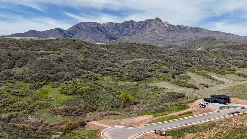 Mountainous terrain backdrop, expansive green spaces, paved road frontage, and a contemporary-style residence with a dark exterior