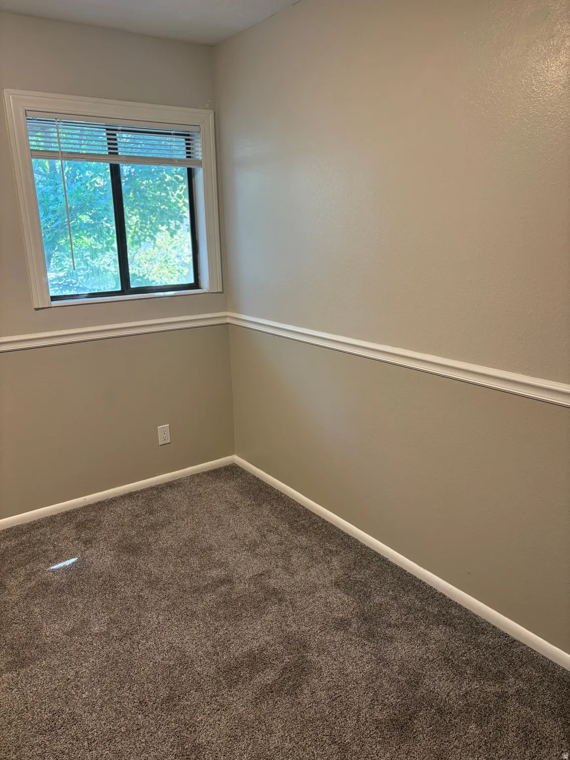 Wall-to-wall carpeting, two-tone wall paint, white crown molding, white window trim, and a window with blinds