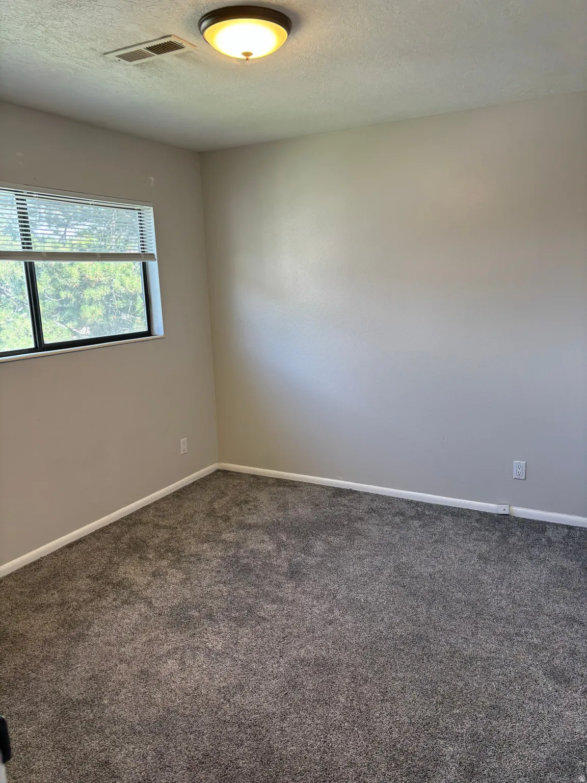 Neutral wall paint, textured ceiling, and gray carpet flooring