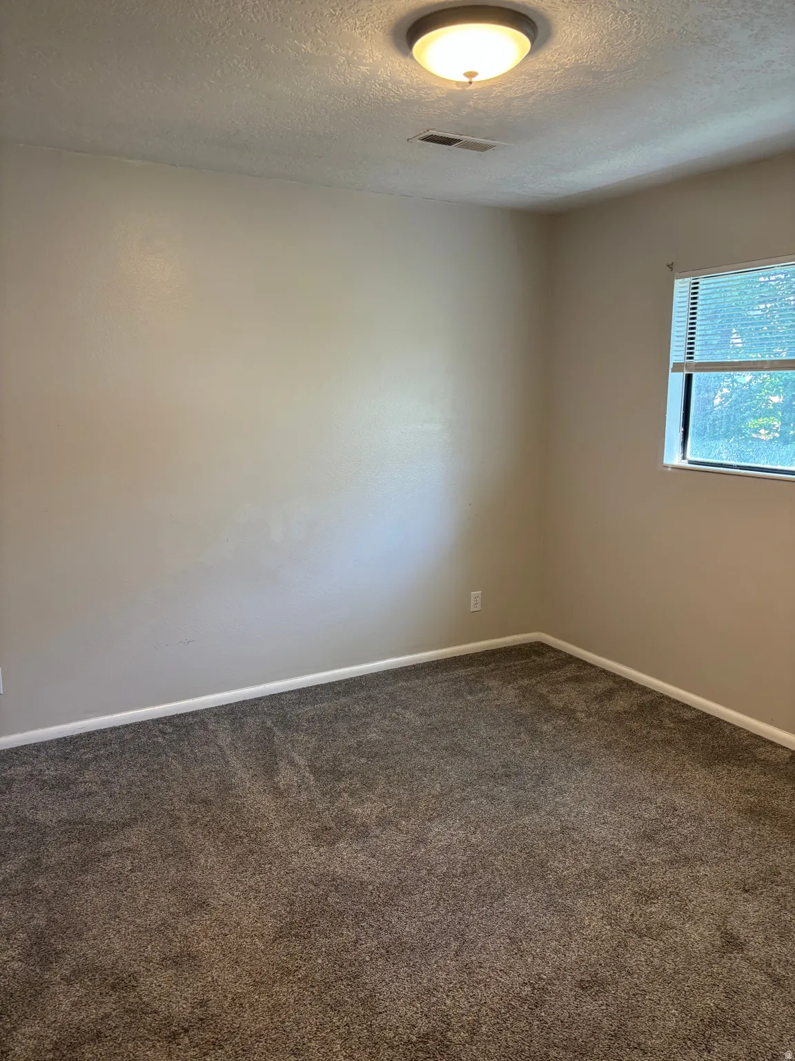Neutral wall paint, textured ceiling, carpeted flooring, and a single window with blinds