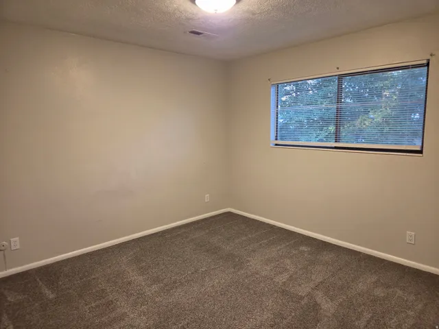 Carpeted flooring with neutral wall tones and a single window with blinds