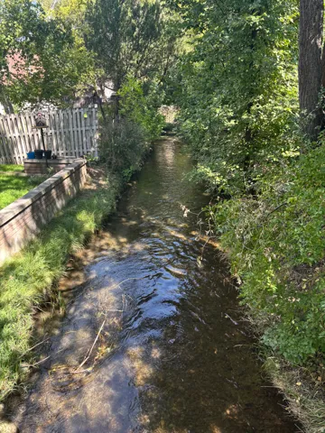 Water feature with natural banks, surrounded by mature trees and lush greenery
