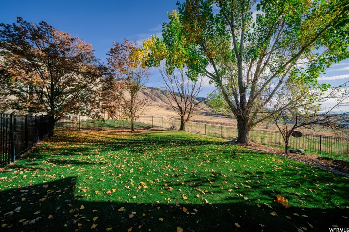 Expansive grass lawn with mature trees and a black metal fence, bordering a natural hillside
