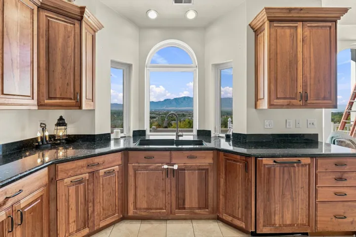 Dark-toned cabinetry with crown molding, solid surface countertops, integrated sink, and an arched window