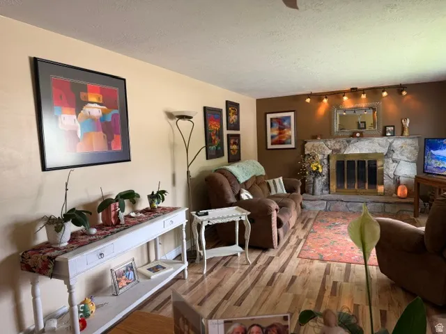 Hardwood-finish flooring, stone fireplace with brass insert, track lighting, and a console table with drawers