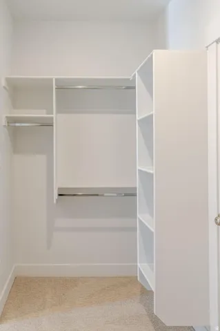 Built-in shelving, hanging rods, and neutral carpeting
