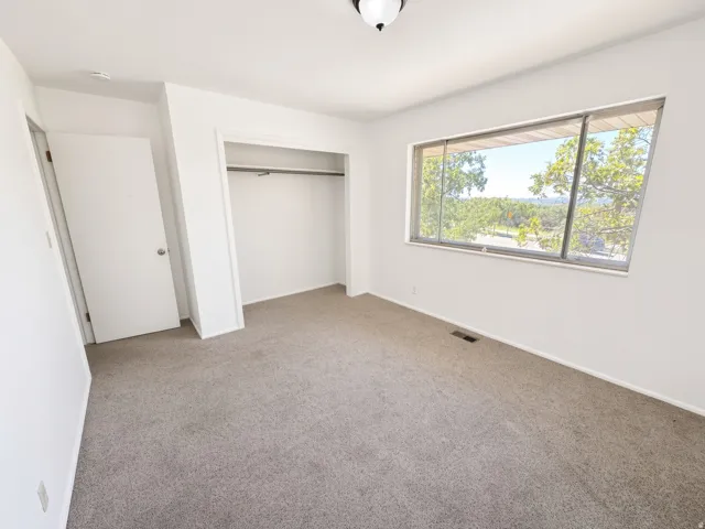 White painted walls with neutral carpeting, an integrated closet, and a large window