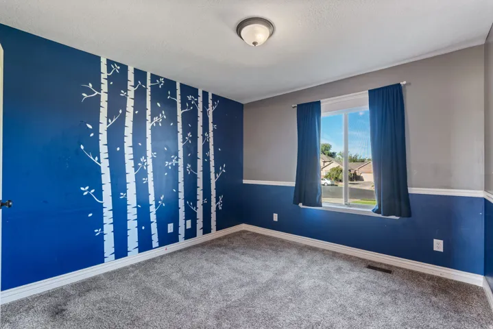 Carpeted flooring, window with drapes, painted walls with decorative graphic, and flush mount lighting