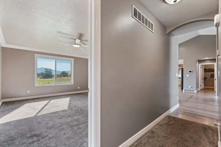Room featuring carpet flooring, a ceiling fan, and a wide window