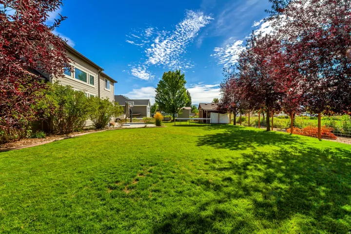 Expansive lawn area with mature trees and perimeter shrubs, featuring a shed structure