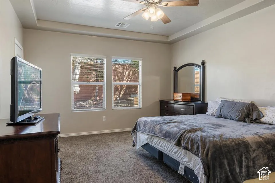 Tray ceiling with a ceiling fan, carpeted flooring, and two windows