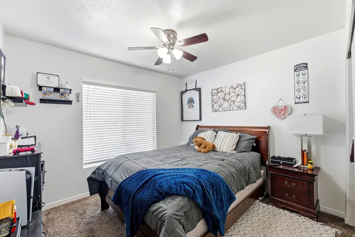 Neutral wall finishes, textured carpeting, and a window with blinds